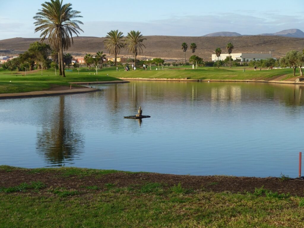 hotel +vuelo fuerteventura