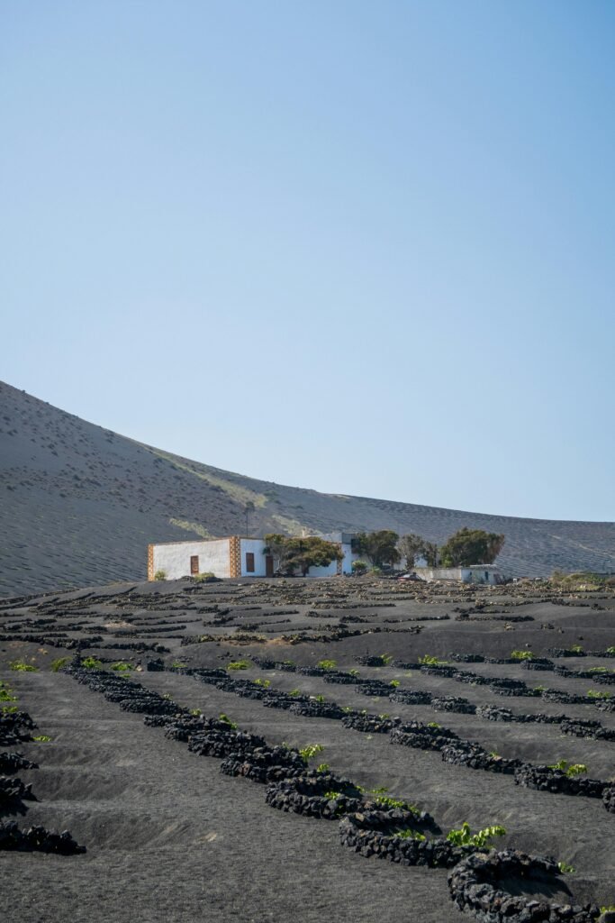 vuelo y hotel a lanzarote